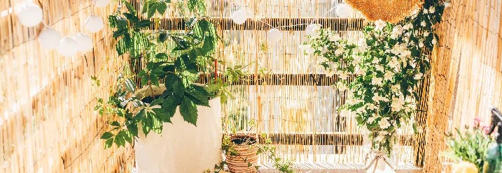 Gemütlicher Balkon mit Pflanzen